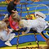 Jesień w grupie &quot;Motylki&quot;