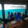Innowacja Pedagogiczna "Zaczarowany ogród" &raquo; Innowacja Pedagogiczna "Zaczarowany ogród" &raquo; Wycieczka do ZOO w Opolu