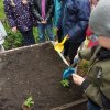 Innowacja Pedagogiczna &quot;Zaczarowany ogród&quot;