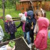 Innowacja Pedagogiczna &quot;Zaczarowany ogród&quot;