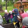 Innowacja Pedagogiczna &quot;Zaczarowany ogród&quot;
