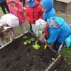 Innowacja Pedagogiczna &quot;Zaczarowany ogród&quot;