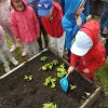 Innowacja Pedagogiczna &quot;Zaczarowany ogród&quot;