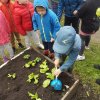 Innowacja Pedagogiczna &quot;Zaczarowany ogród&quot;