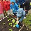 Innowacja Pedagogiczna "Zaczarowany ogród"