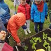 Innowacja Pedagogiczna &quot;Zaczarowany ogród&quot;