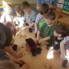 &quot;Stokrotki&quot; zakładamy zielony ogródek