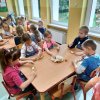 smaczne i zdrowe szaszłyki-&quot;Skrzaciki&quot;